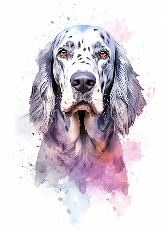 watercolor english setter