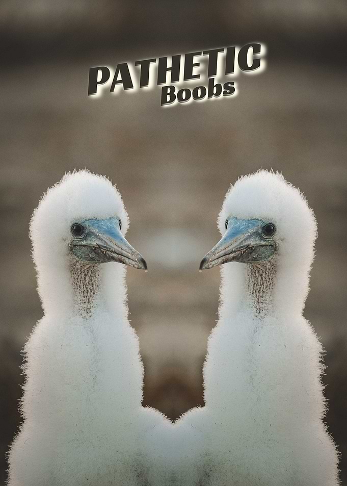 Pathetic Boobs Poster