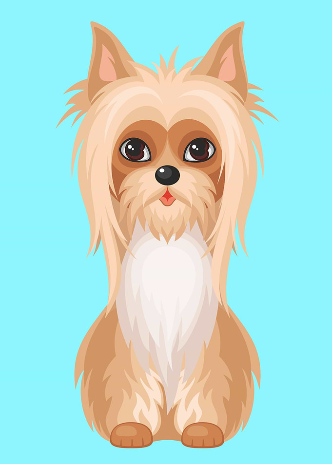 Cute Australian Terrier
