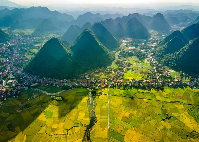 Nice ripen rice fields