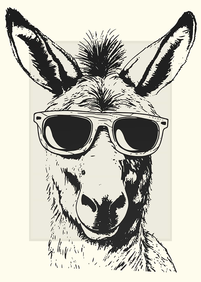 Donkey Illustration
