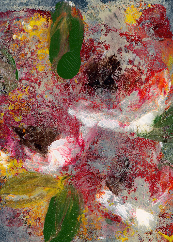 Abstract Red Poppies