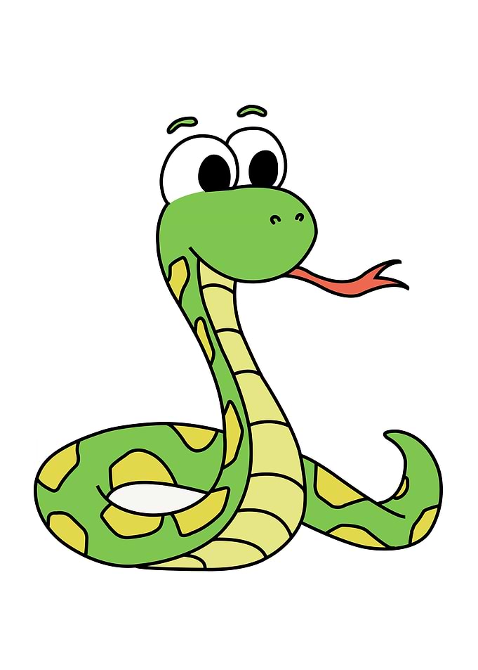 Snake Cute Animal