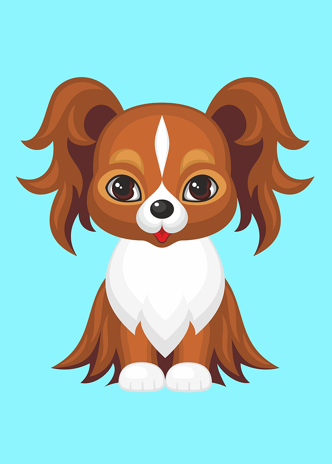 Cute Papillon Dog