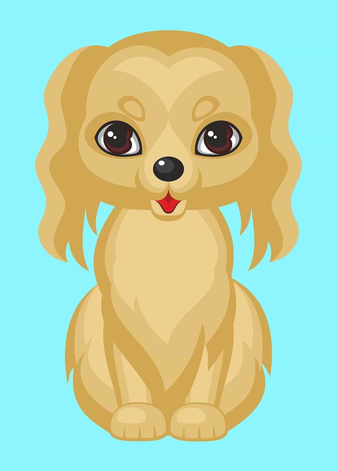 Cute Spaniel Dog
