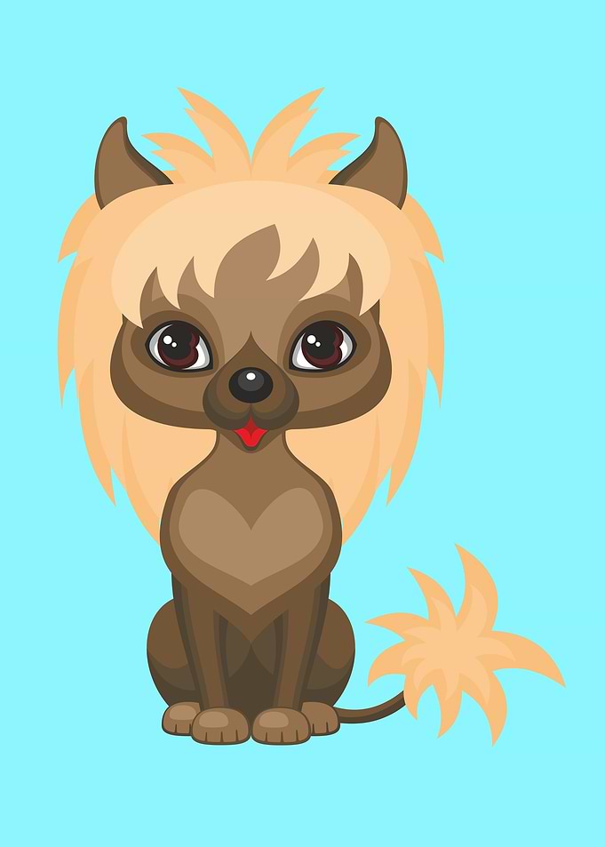 Cute Chinese crested dog