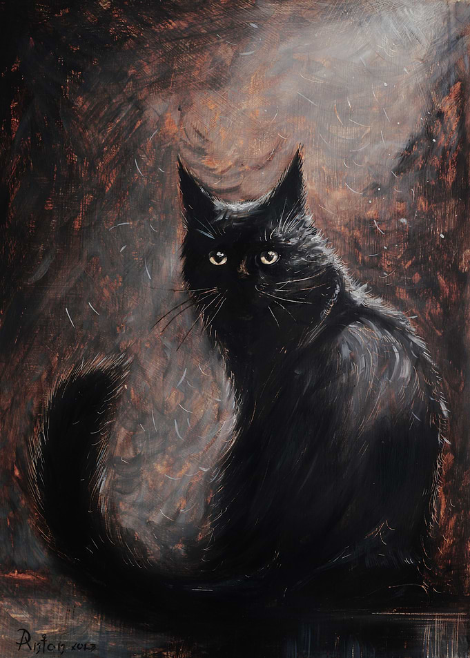 Black Cat