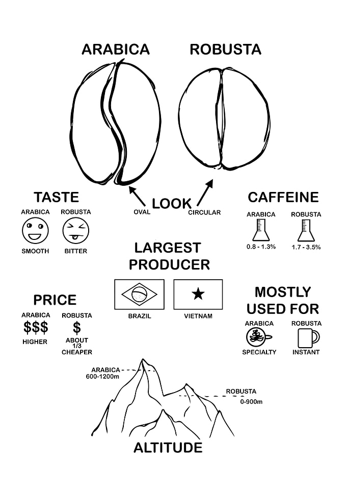 Coffee Lover Gift Barista
