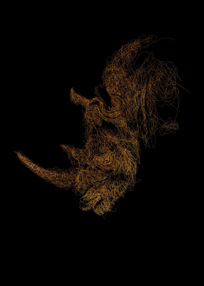 Rhino art