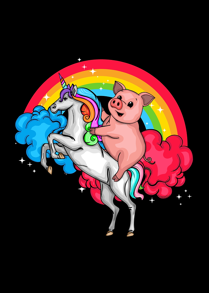 Unicorn Rainbow Pig Gift