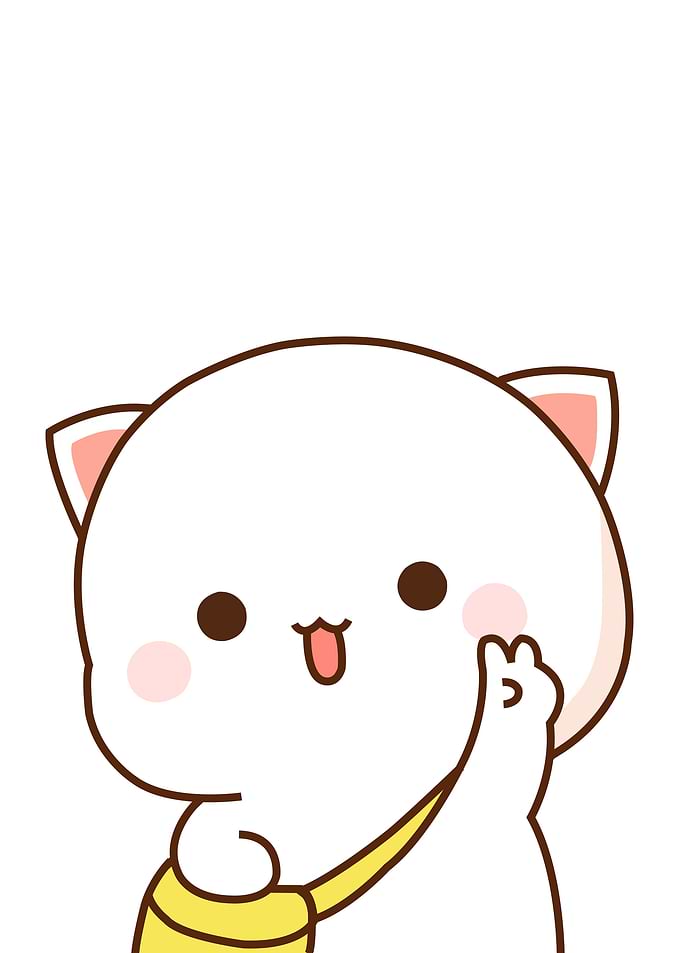 Cute Animal