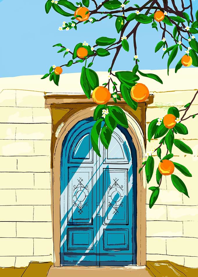 Orange Blossoms