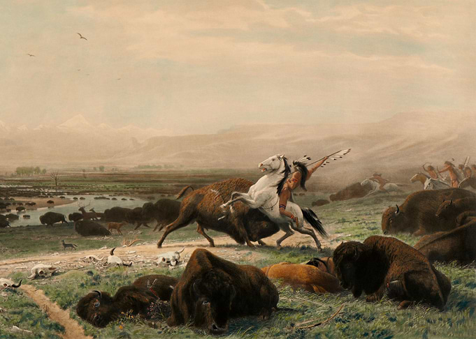 Indians Hunting Bisons
