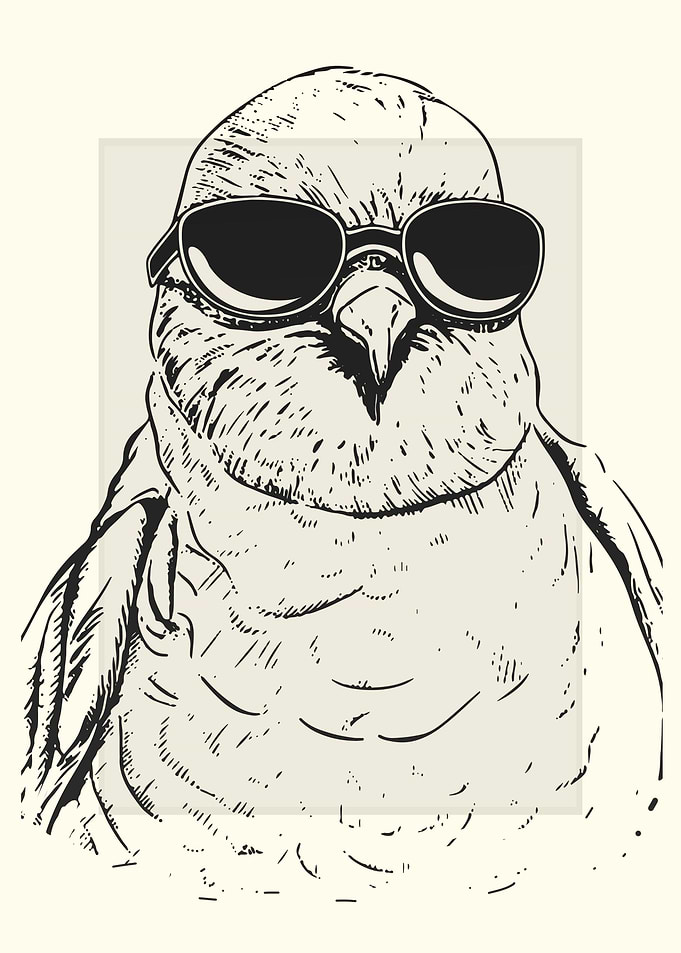 Dove Bird Sketch