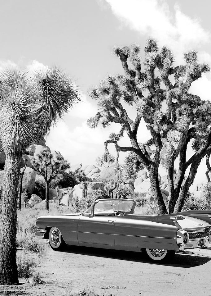 Vintage Road Trip BW