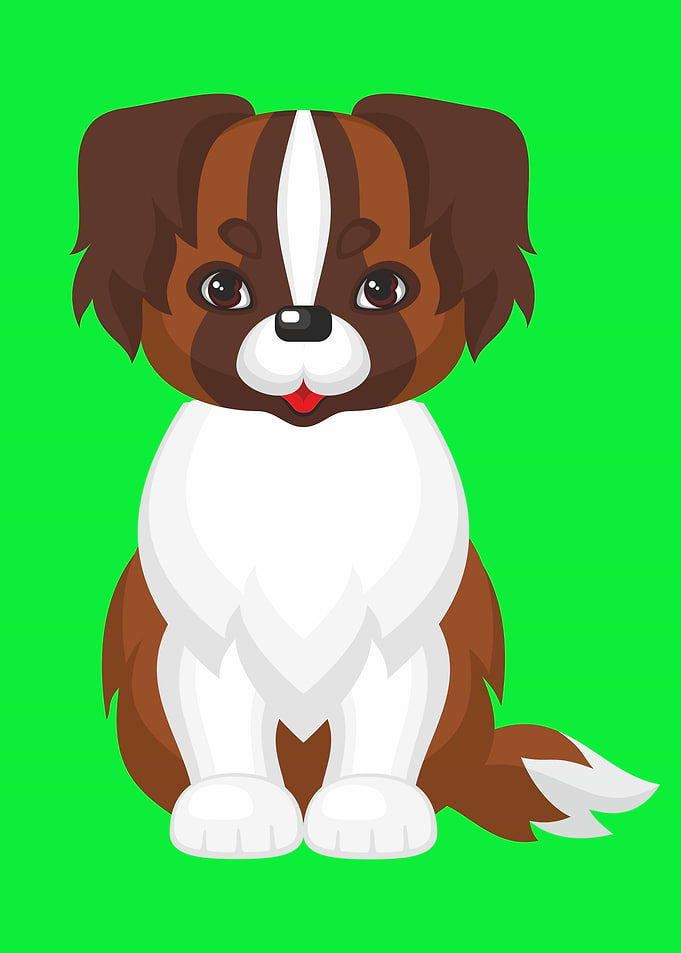 Cute St Bernard Dog