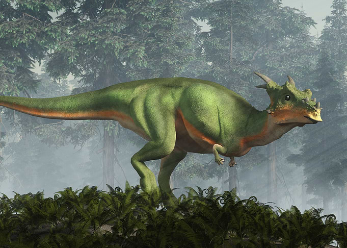 Dracorex