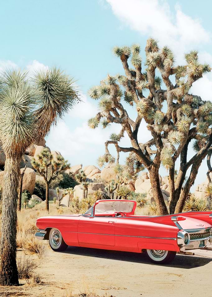 Vintage Road Trip