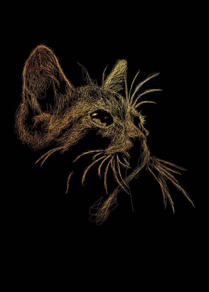 Cat Art