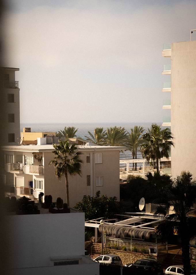 The Free View