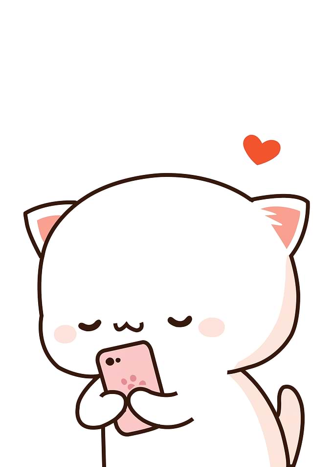 Cute Animal
