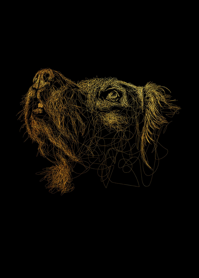 Dog Art