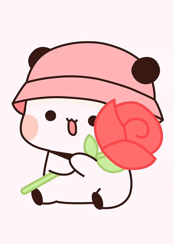 Cute Animal