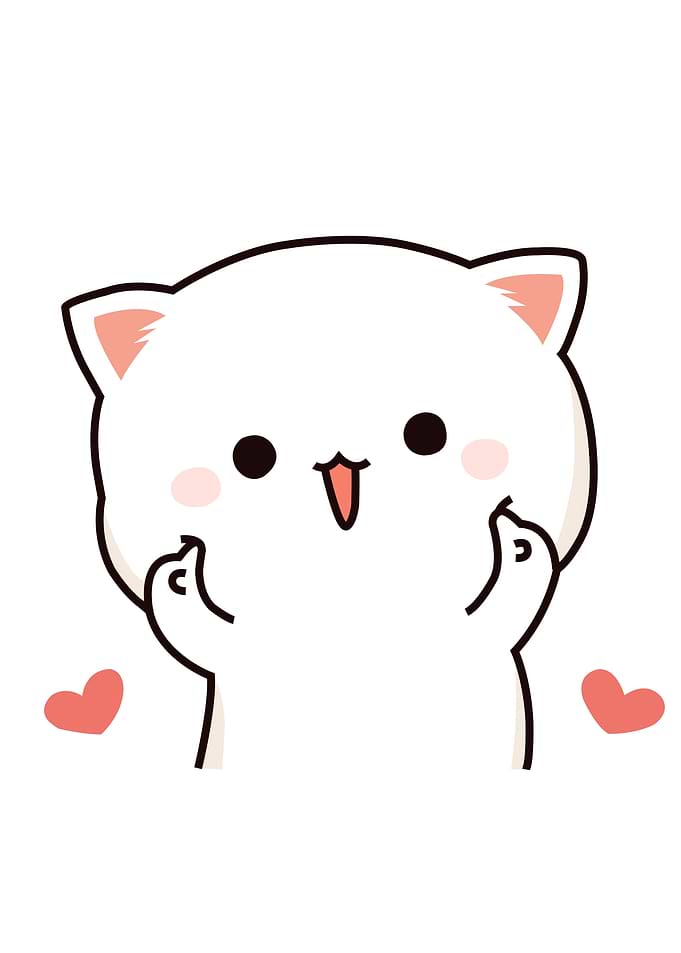 Cute Animal