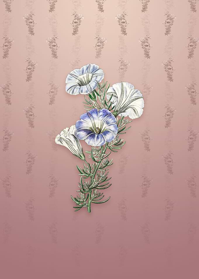 Sky Blue Alona Flower