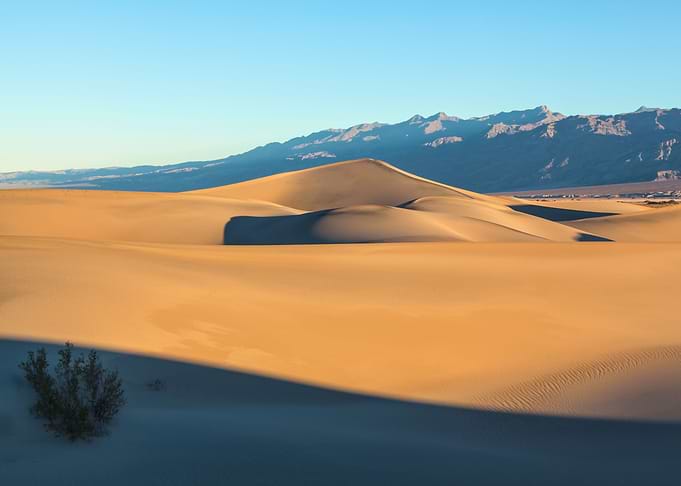 Mesquite Sand Dunes