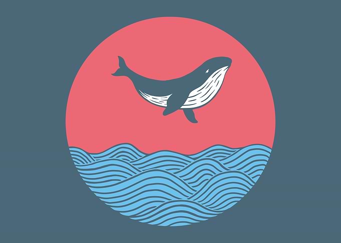 Whale Jumping in The Ocean