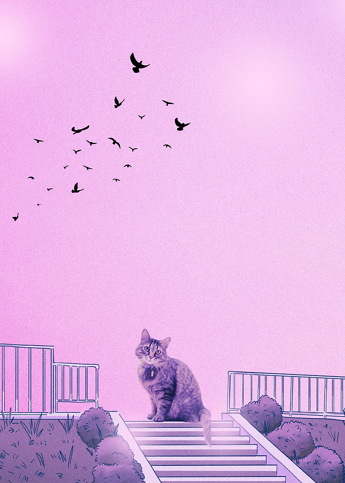 Cats Cute