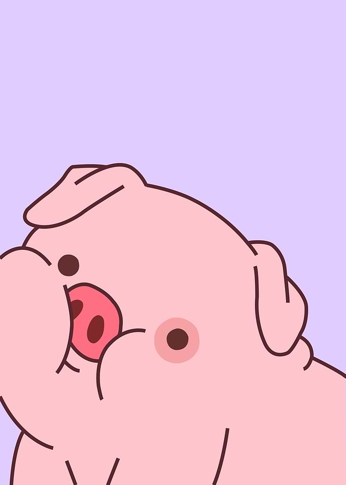 Pig Cute Cartoon