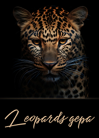Leopards