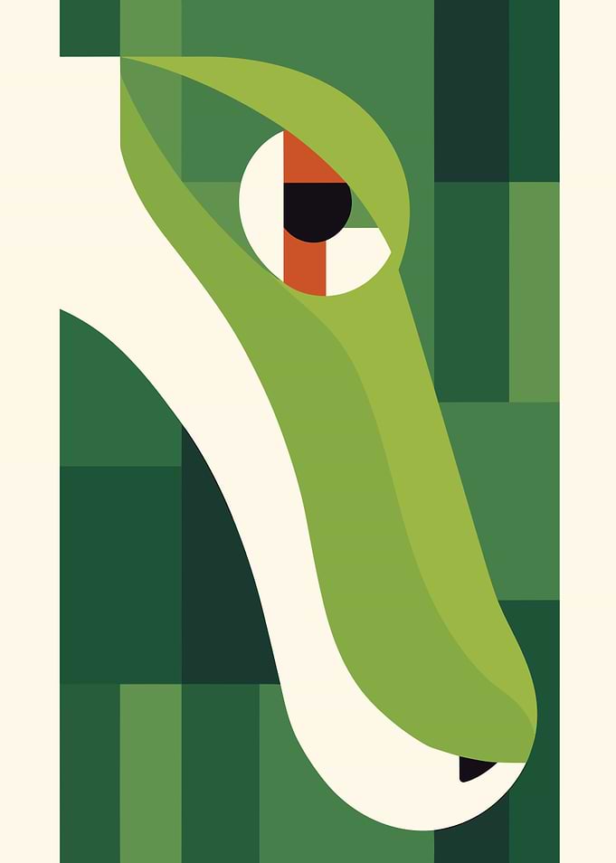 Animal Minimalist