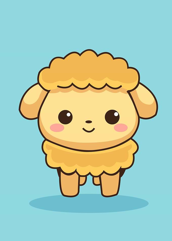 sheep cute animal