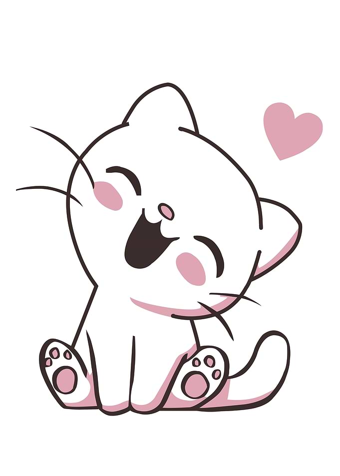 Cat Cute Animal
