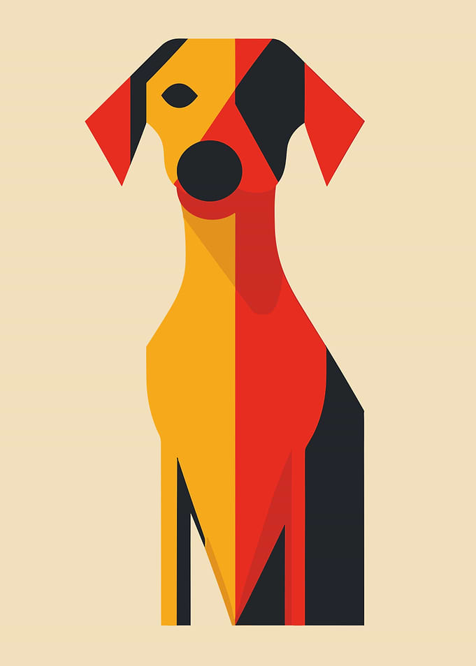 Animal Minimalist