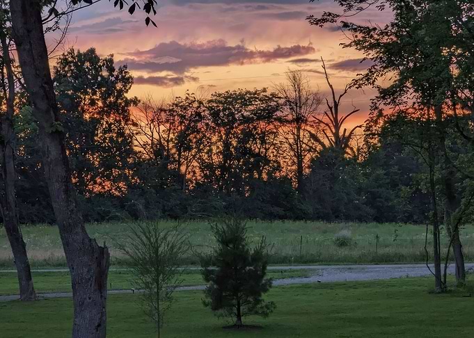 Spring in Ohio