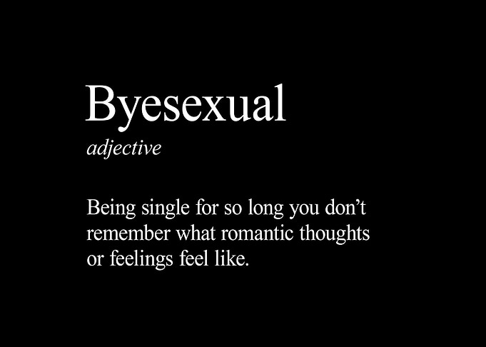 Define Byesexual