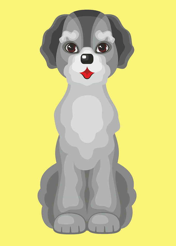 Cute Labradoodle Dog