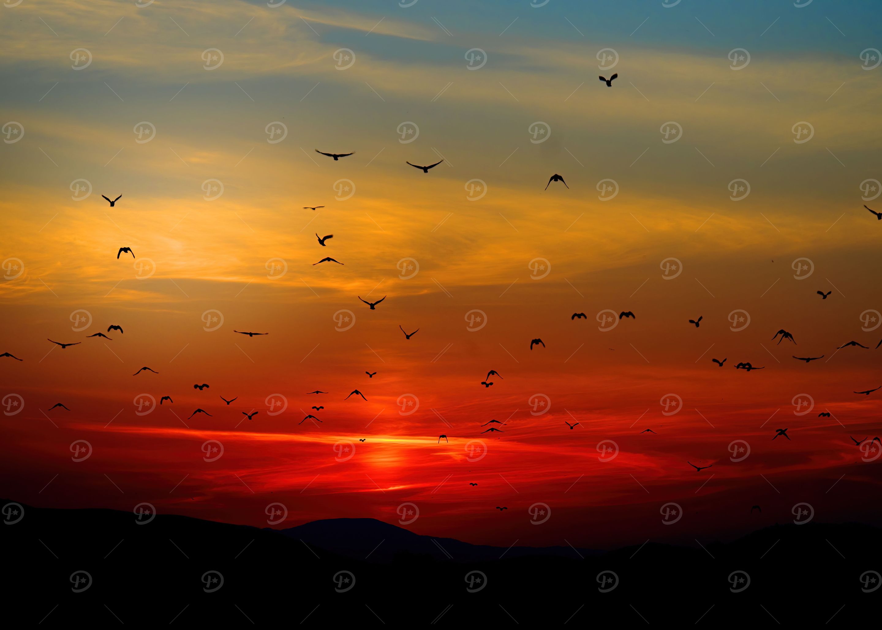 Sunrise