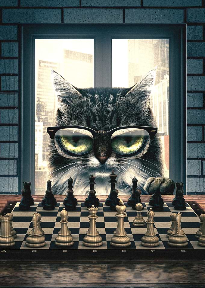 Your Move