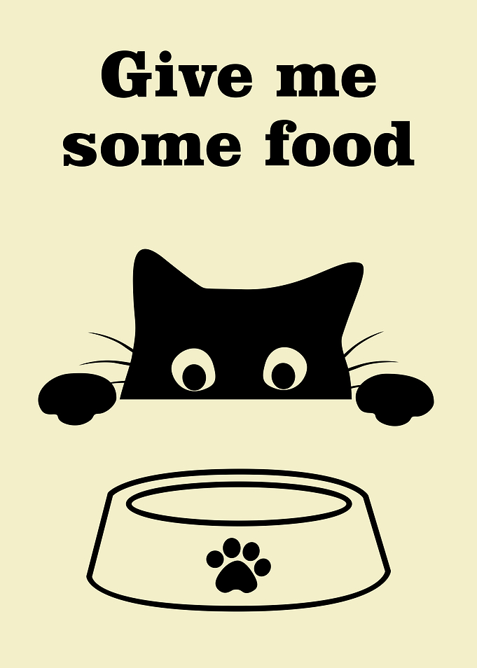 Hungry Cat