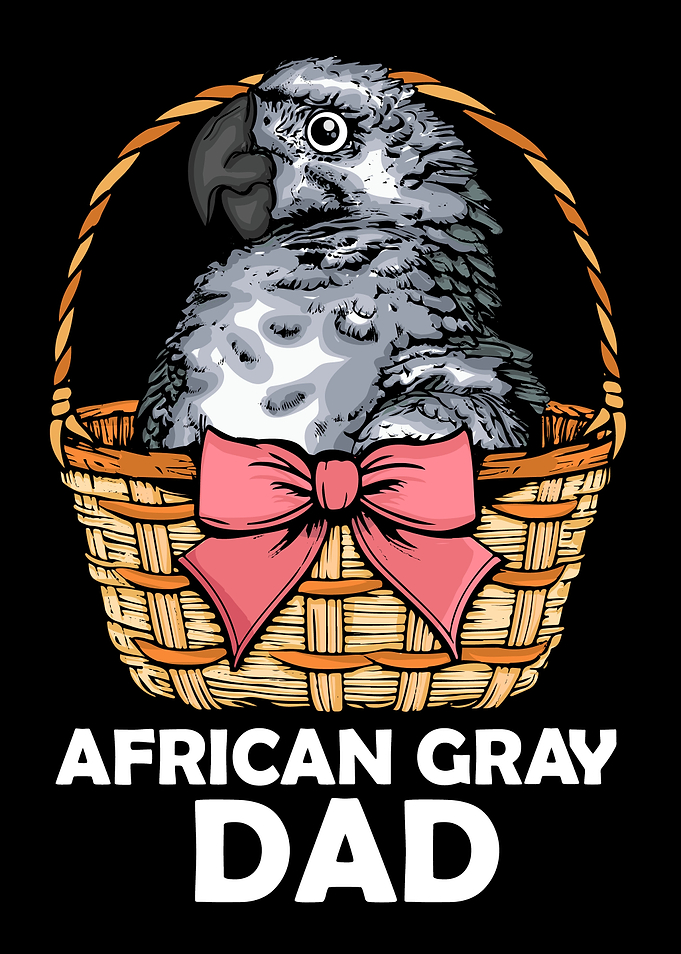 African Gray Dad Parrot