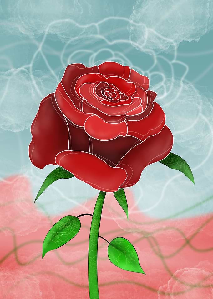 Big red rose