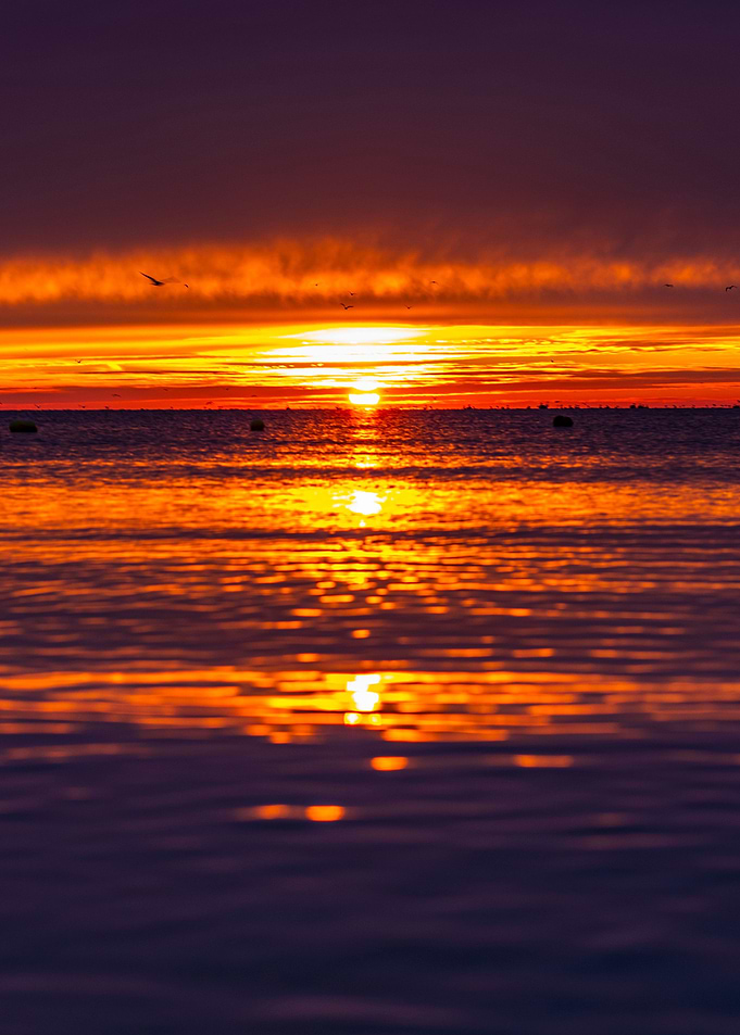 Sun rise