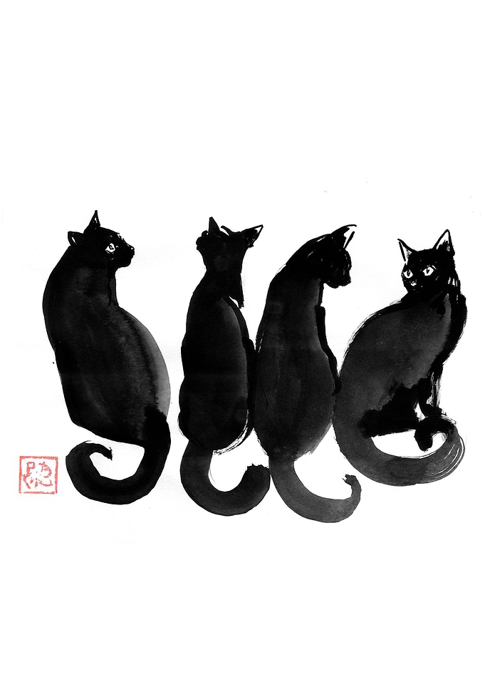 4 black cats