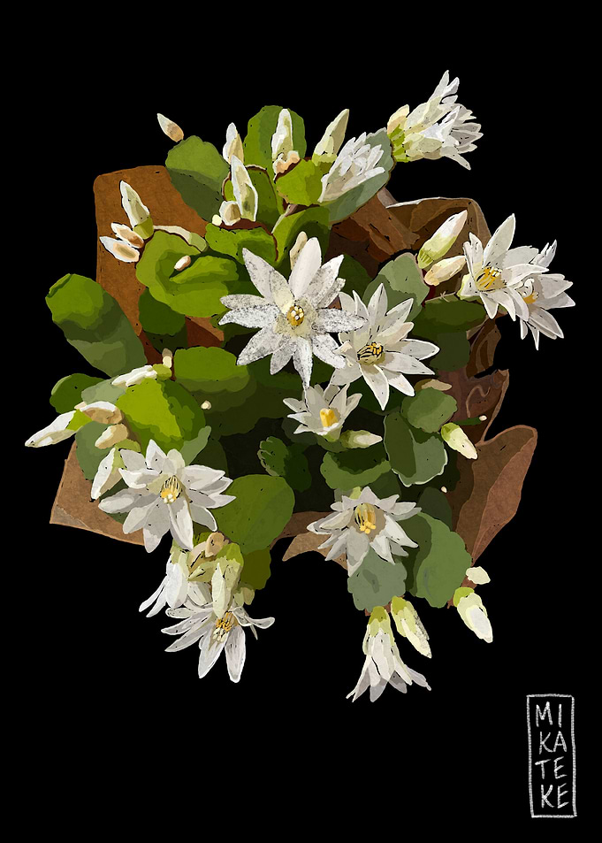 Floral 20230716