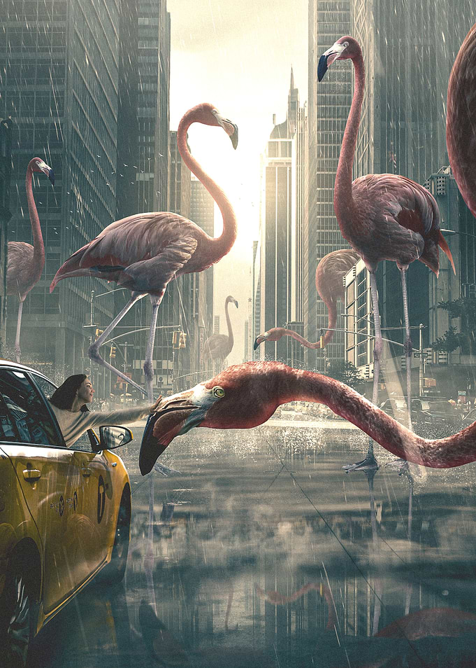 Flamingo City